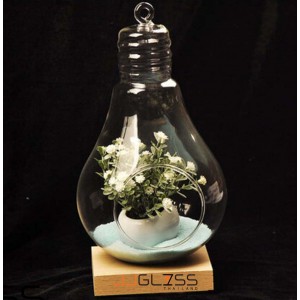 Bulb 12 cm. - Hanging vases light bulbs, Height 12 cm.